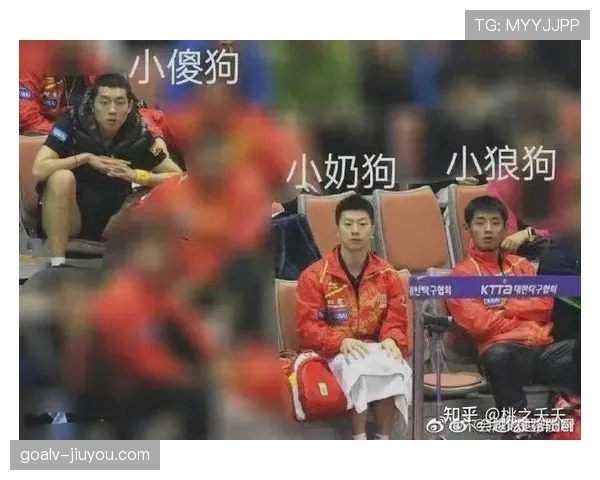 许昕家的狗吃的都比我一个月工资还贵